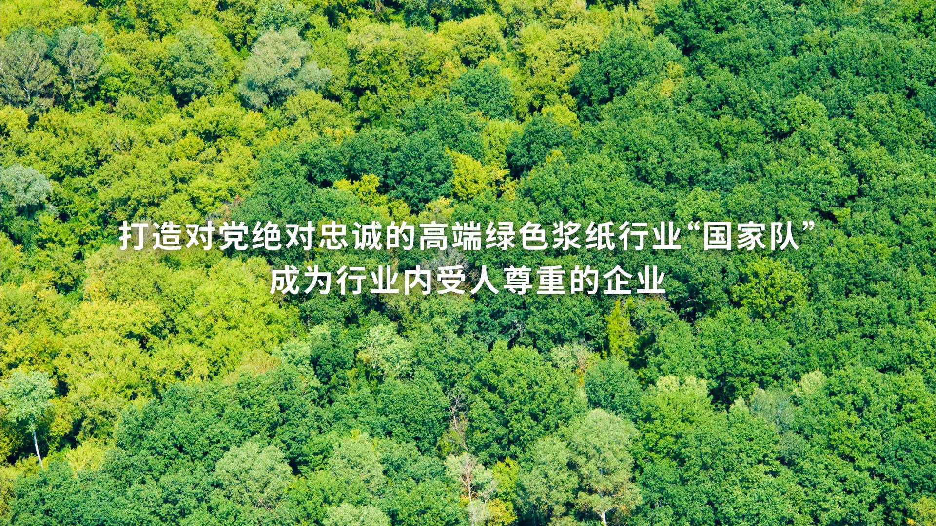打造對(duì)黨絕對(duì)忠誠(chéng)的高端綠色漿紙行業(yè)“國(guó)家隊(duì)”，成為行業(yè)內(nèi)受人尊重的企業(yè)